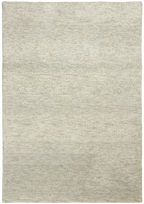 Ravi D2015 Plata