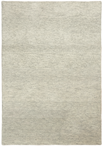 Ravi D2015 Plata
