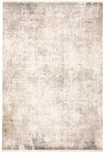 Load image into Gallery viewer, Cadiz 3892F in Light Gray/ Ivory
